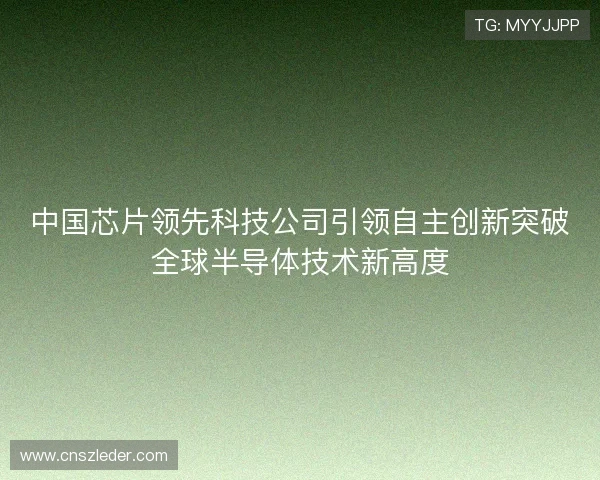 中国芯片领先科技公司引领自主创新突破全球半导体技术新高度 中国芯片领先科技公司引领自主创新突破全球半导体技术新高度